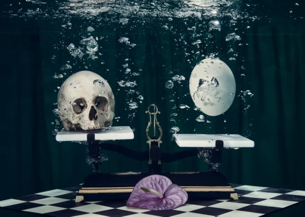 PERPETUAM VITAE CURSUS