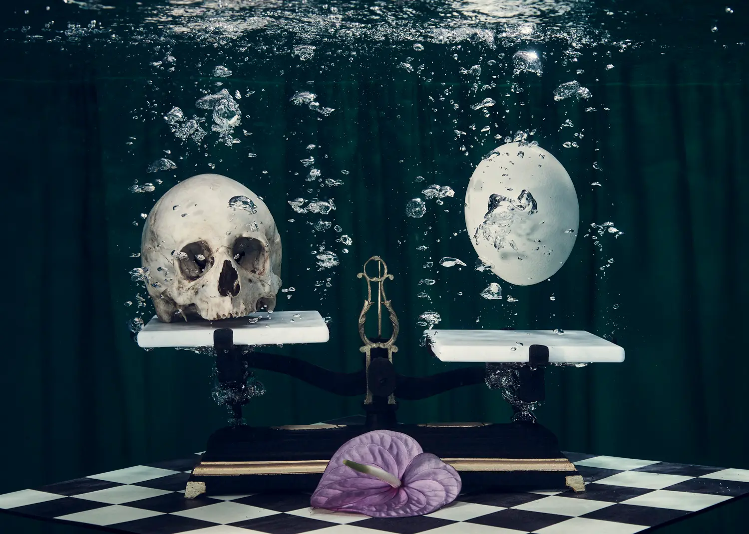 PERPETUAM VITAE CURSUS