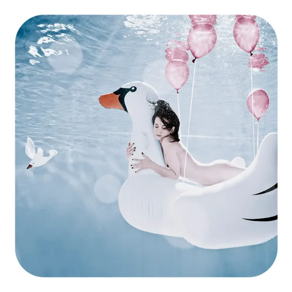 SOUS-VERRE / MAGNET - THE LADY & THE SWAN