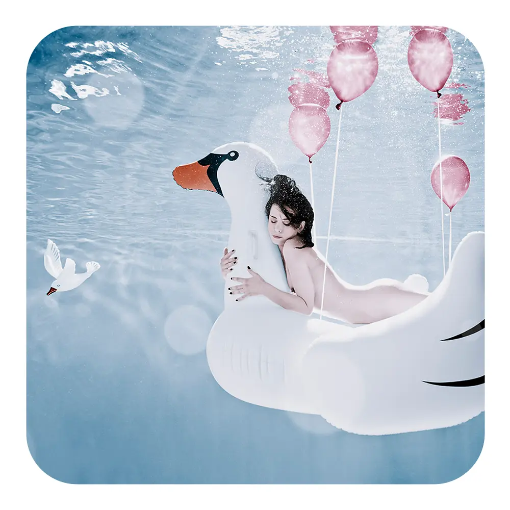 SOUS-VERRE / MAGNET - THE LADY & THE SWAN